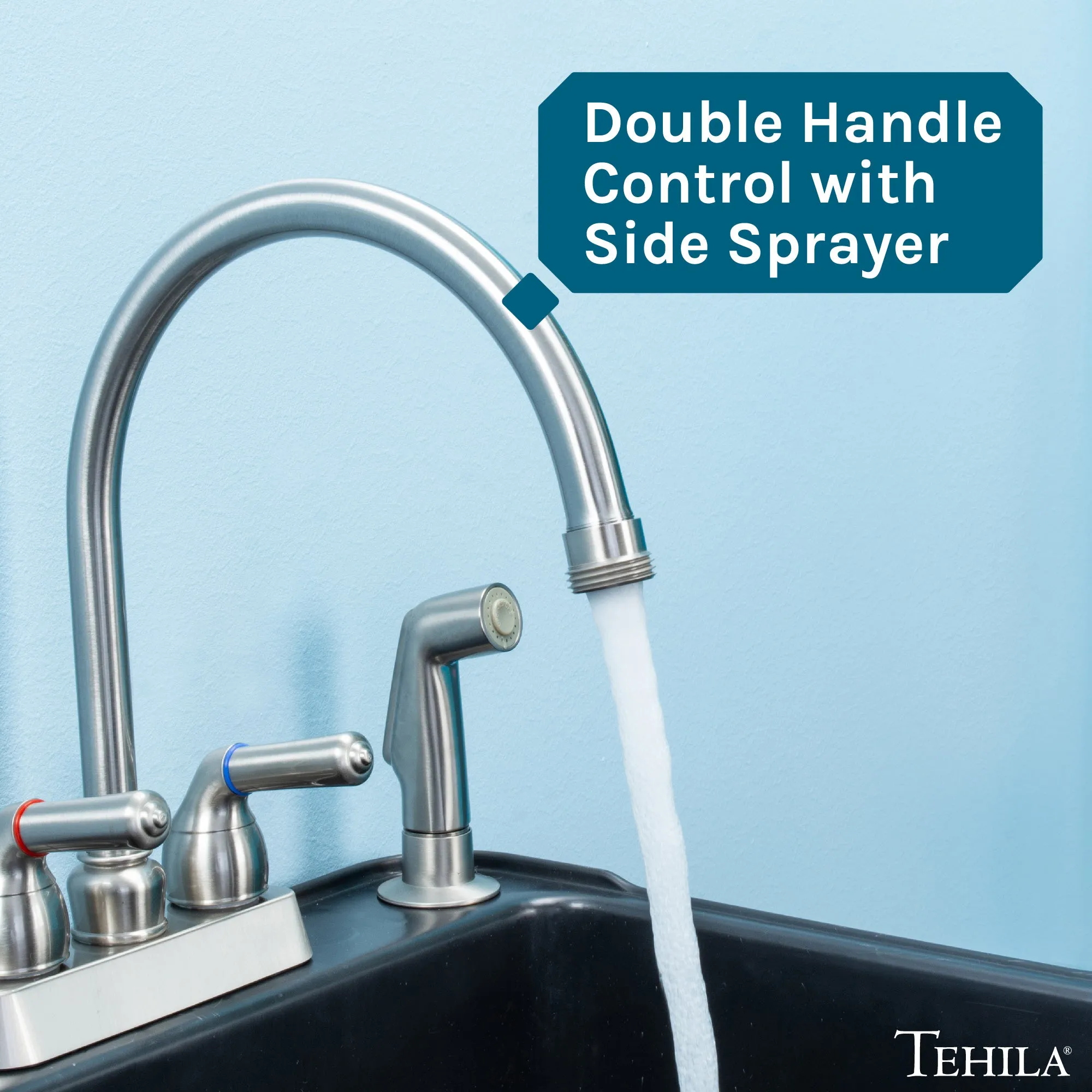 Tehila Stainless Steel Finish Gooseneck Faucet with Side Sprayer