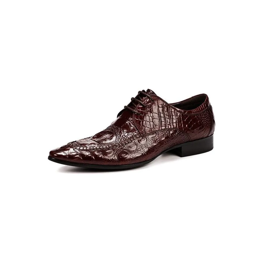 Vellara Ostraluxe Prestige Brogues